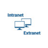 Intranet-extranet